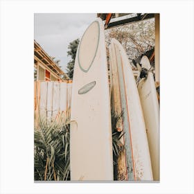 Surfboard Collection Canvas Print