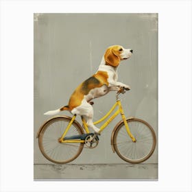 Beagle On A Bike Canvas Print