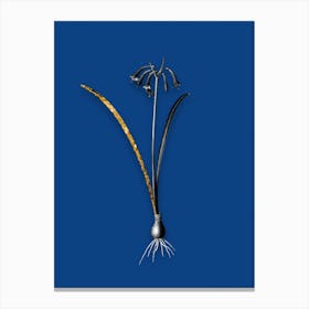 Vintage Brandlelie Black and White Gold Leaf Floral Art on Midnight Blue n.0177 Canvas Print