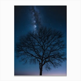 Tree At Night Canvas Print