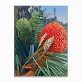 Pincushion Hakea Fern Cézanne Style Canvas Print