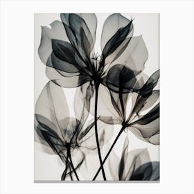 Black White Photograph Flower Canvas Print