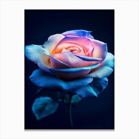 Pink Rose 43 Canvas Print