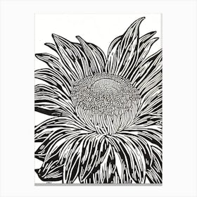 Red Waratah Anemone Linocut Canvas Print