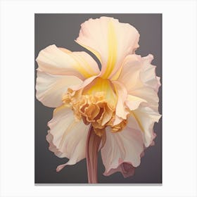 Floral Illustration Daffodil 1 Canvas Print
