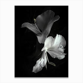 Black And White Flowers 2 Canvas Print