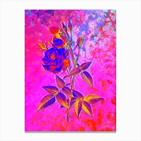 Common Rose of India Botanical in Acid Neon Pink Green and Blue n.0045 Canvas Print
