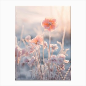 Frosty Botanical English Primrose 3 Canvas Print