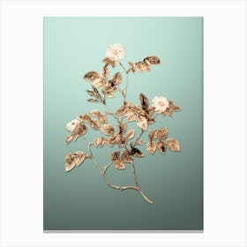 Gold Botanical Sweetbriar Rose on Mint Green n.0062 Canvas Print