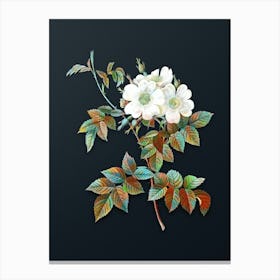 Vintage White Rosebush Botanical Watercolor Illustration on Dark Teal Blue n.0283 Canvas Print