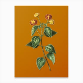 Vintage Tickberry Botanical on Sunset Orange n.0770 Canvas Print