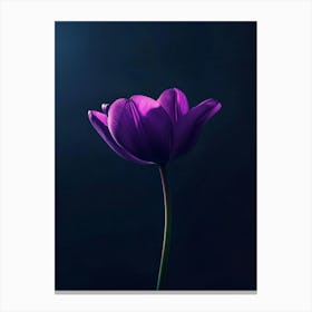 Purple Tulip Canvas Print