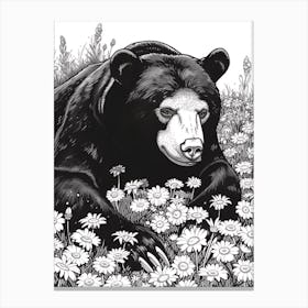 Malayan Sun Bear Resting In A Field Of Daisies Ink Illustration 1 Canvas Print