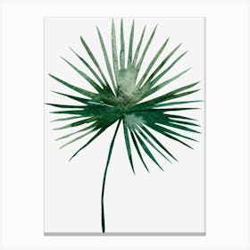 Palm Leaf Canvas Print