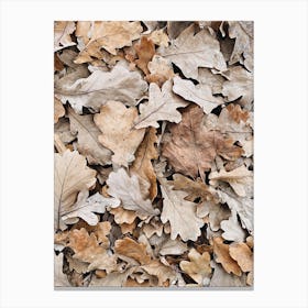 Autumn Leaves On The Ground 1 Canvas Print