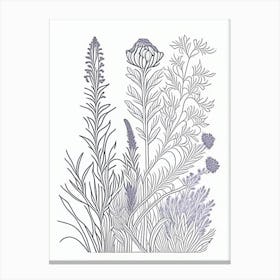 Lavender Herb William Morris Inspired Line Drawing 2 Canvas Print