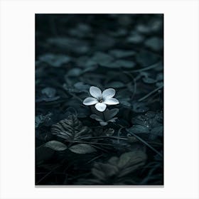 Flower In Water 5 Canvas Print