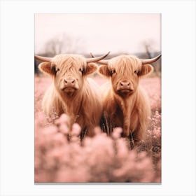 Portrait Of Two Highland Cows In The Field Pink Realistic Photography 3 Canvas Print