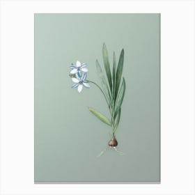 Vintage Gladiolus Plicatus Botanical Art on Mint Green n.0115 Canvas Print