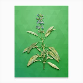 Vintage Sage Plant Botanical Art on Classic Green n.0957 Canvas Print