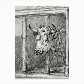 Head Of A Cow, Jean Bernard Canvas Print