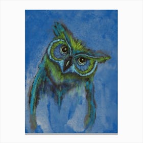 Barney The Owl Canvas Print