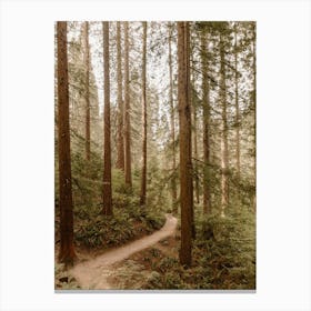 Hoyt Arboretum Forest Canvas Print