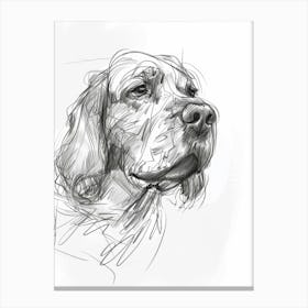 Clumber Spaniel Dog Charcoal Line 3 Canvas Print