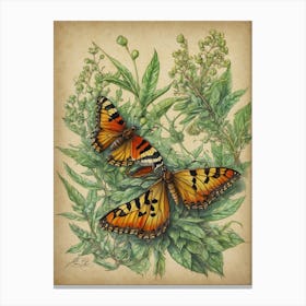 Butterflies On A Leaf Canvas Print