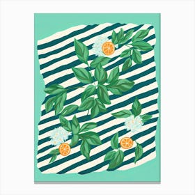 Mint Summer Illustration 6 Canvas Print