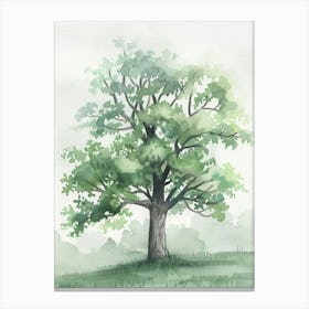 Oak Tree Atmospheric Watercolour Painting 8 Canvas Print