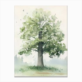 Sycamore Tree Atmospheric Watercolour Painting 1 Canvas Print