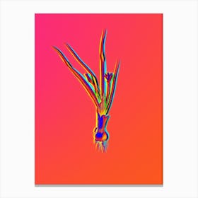 Neon Weevil wort Botanical in Hot Pink and Electric Blue n.0179 Canvas Print