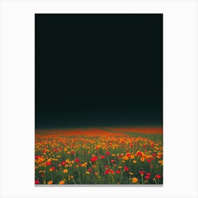 Field Of Flowers 4 Canvas Print