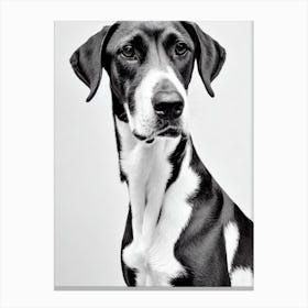 Black And Tan Coonhound B&W Pencil dog Canvas Print