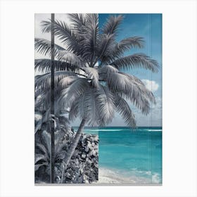 Palm Tree At The Beach Canvas Print