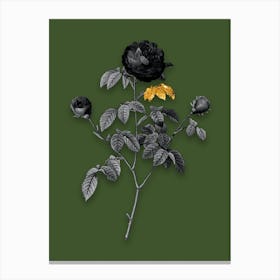 Vintage Agatha Rose in Bloom Black and White Gold Leaf Floral Art on Olive Green n.0587 Canvas Print