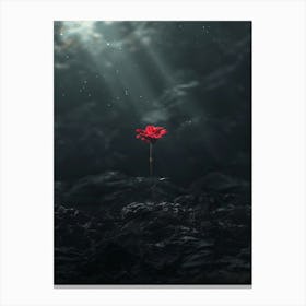 Red Flower In The Dark 2 Canvas Print