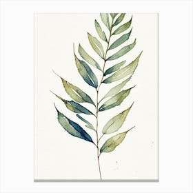 Valerian Leaf Minimalist Watercolour 2 Canvas Print