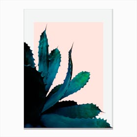 Cactus Southwestern Canvas Print