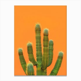 Cactus on Orange Canvas Print