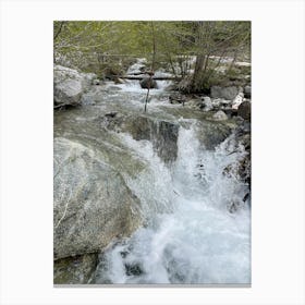 Stream In The Woods Canvas Print