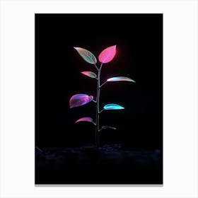 Neon Plant In The Dark 5 Canvas Print