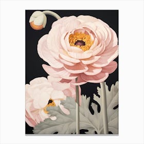 Flower Illustration Ranunculus 2 Canvas Print