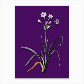 Vintage Crytanthus Vittatus Black and White Gold Leaf Floral Art on Deep Violet n.0831 Canvas Print