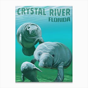 Crystal River Florida Canvas Print