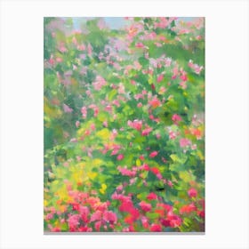 Himalayan Honeysuckle Impressionist Painting Plant Canvas Print