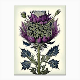 Thistle Floral Botanical Vintage Poster Flower Canvas Print