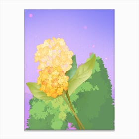 Hydrangea 1 Canvas Print