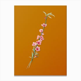 Vintage Peach Blossoms Botanical on Sunset Orange n.0640 Canvas Print